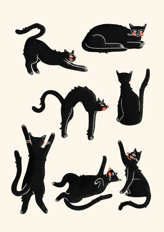 Black Cats