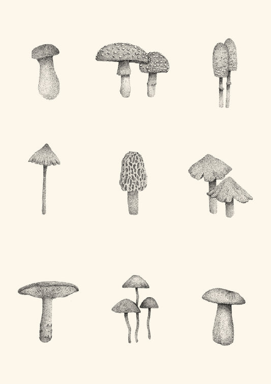 Mushrooms II